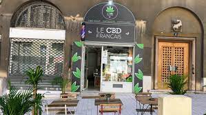 Retrouvez les 10 meilleures boutiques de CBD à Marseille