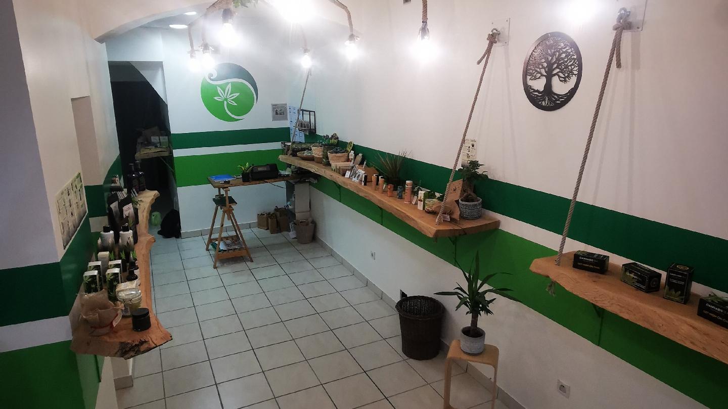 Liste des 10 meilleurs magasins de CBD à Montélimar