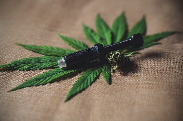 Huile OU Teinture de CBD