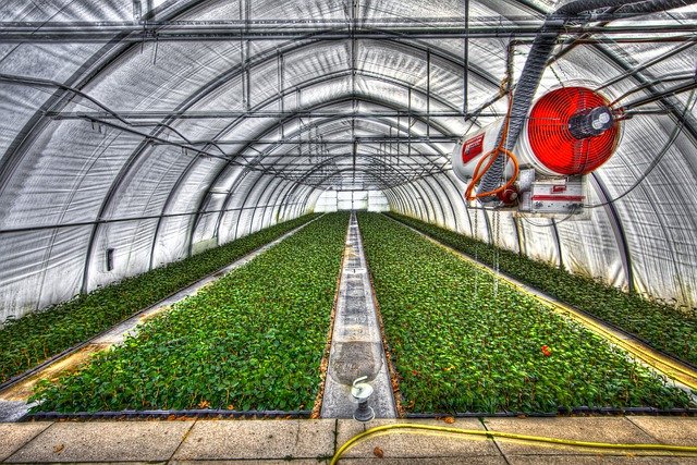 Rendement Greenhouse supérieur au Rendement Outdoor : 5 raisons