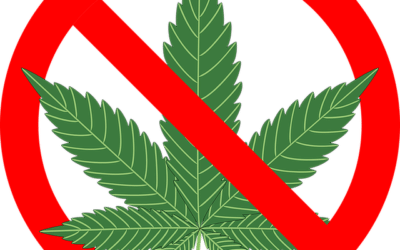 Avantages et Inconvénients de la Légalisation des Drogues (Cannabis)