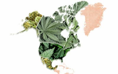 Légalisation du Cannabis dans le Monde (Marijuana Légale)