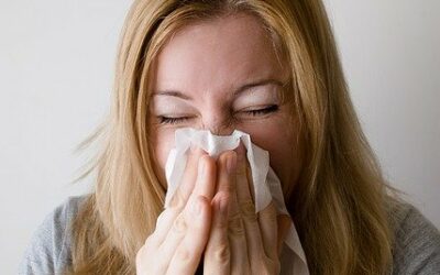 CBD et Allergies : Ce Que Vous Devez Vraiment Savoir