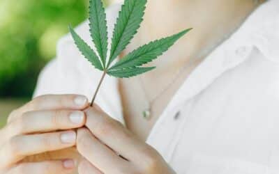 CBD Global : Où le Cannabidiol est-il autorisé ?