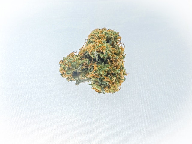 meilleure variété cannabis