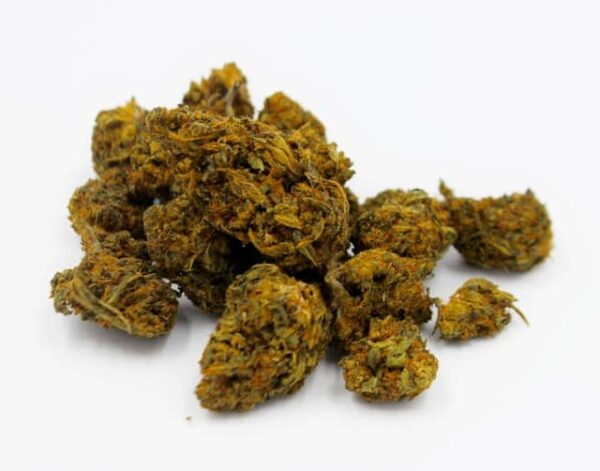 OG Kush : Graines de cannabis - grosse production et puissante - féminisée