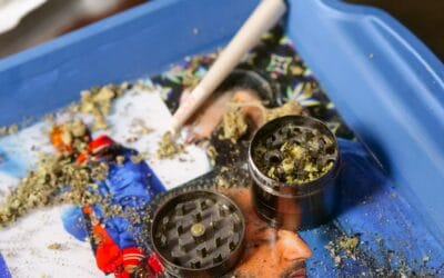 Comment Fumer de la Résine CBD? (hasch)