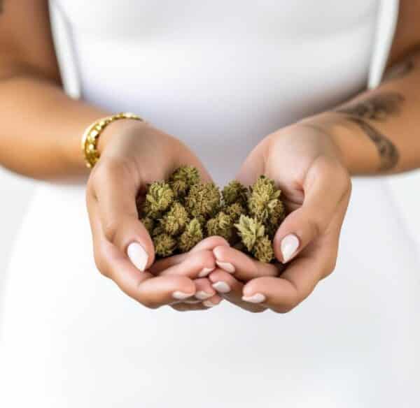 Fleur CBD Popcorn 0% THC : Petites fleurs, zéro THC, maxi détente ! (Vente Privée -50%) – Image 2