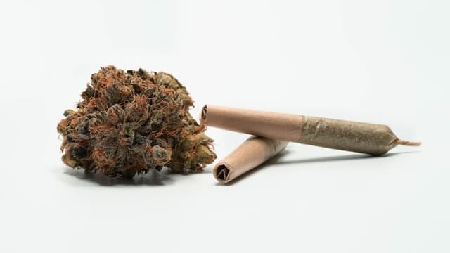 Que veut dire OG pour le cannabis et le CBD ? (weed)