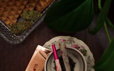 Fumette : vrai écart entre joint, spliff et blunt ?