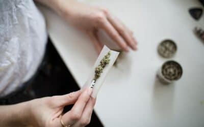 Tout savoir sur le Spliff (Cannabis et CBD)