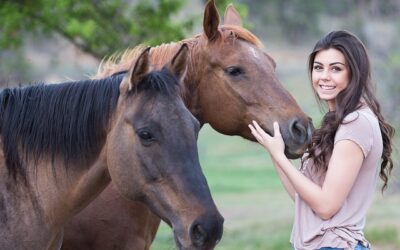 Puis-je Donner Du CBD à Mon Cheval ?