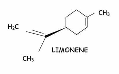 Qu’est-ce que le limonène ? (Terpene du cannabis CBD)