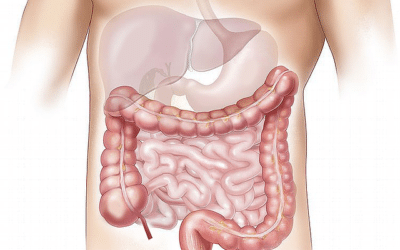Maladie de Crohn: le CBD peut il m’aider ?