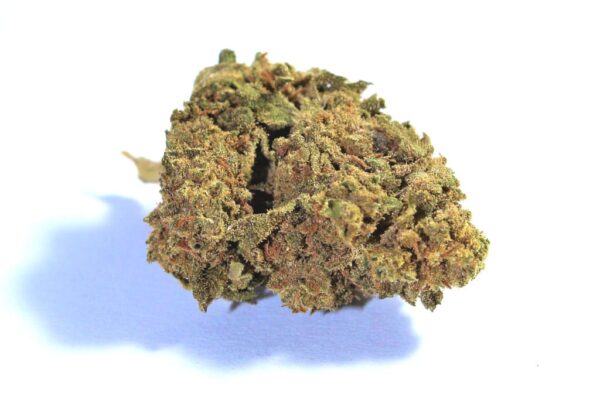 Pack CBD Abondance