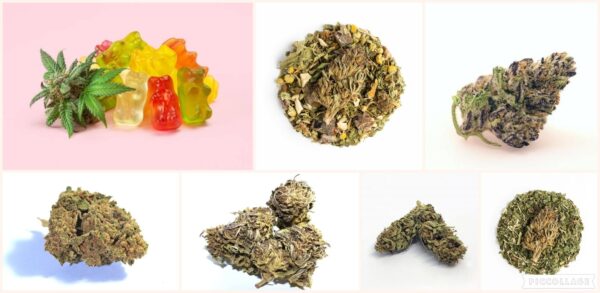Pack CBD Abondance