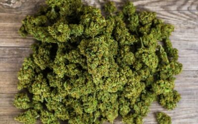 Qu’est-ce que le H4CBD ? Meilleur que le CBD ? (Guide 2023)