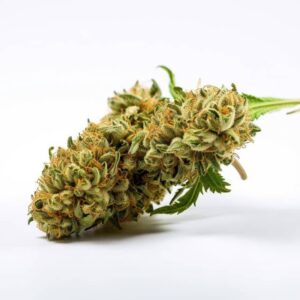 Fleur CBD Cherry Pie: Un Délice au Cannabis !
