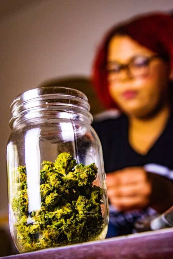 graine CBD sour diesel