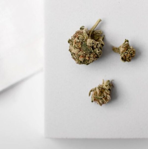 fleur H4CBD pas cher