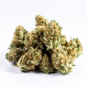 Fleur CBD Catatonic Greenhouse 0% THC : Découvrez le Goût Authentique du Cannabis sans Effets Psychoactifs