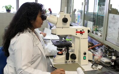 Comment le CBN est fabriqué ? guide complet cannabinol
