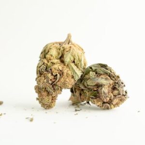 Fleur G13 THCP : L’expérience ultime du cannabis (puissance à l'état pur)