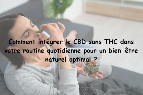 Ajouter le CBD Sans THC dans Votre Vie Quotidienne