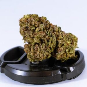 Orange Bud CBG