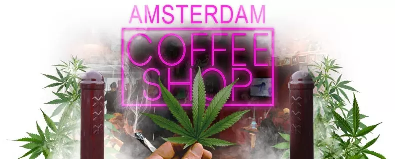 Amsterdam Coffee Shop 