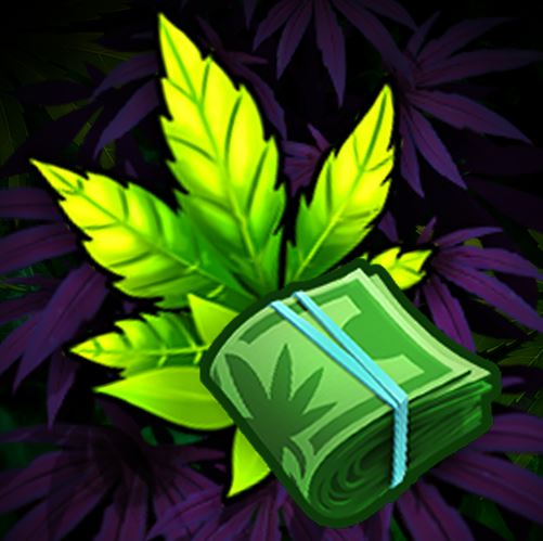 Jeux cannabis sur Google Play