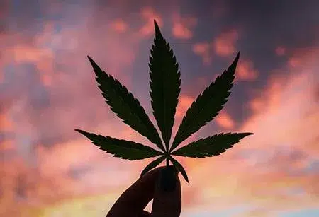 Spiritualité et cannabis