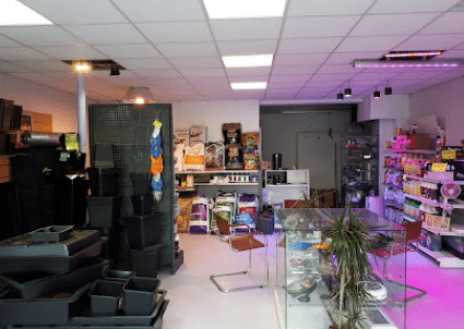 boutiques CBD Argenteuil