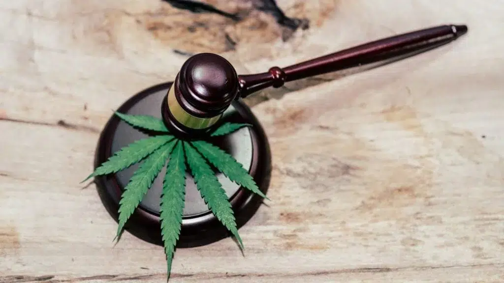 Législation Portugaise sur le CBD et le Cannabis