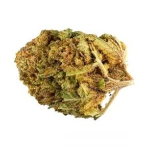 Bluedream THV-N10 23%