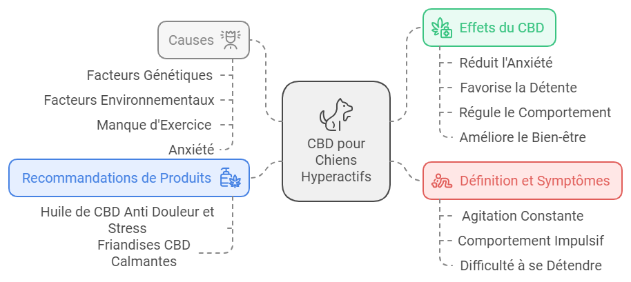 CBD et chiens hyperactifs