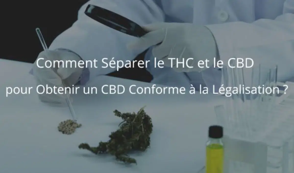 separer thc et cbd