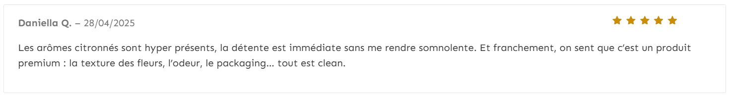 Avis Amnesia premium