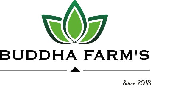 Shop CBD Saint-Denis